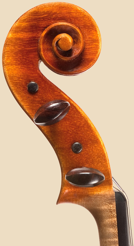 andrzej swietlinski viola